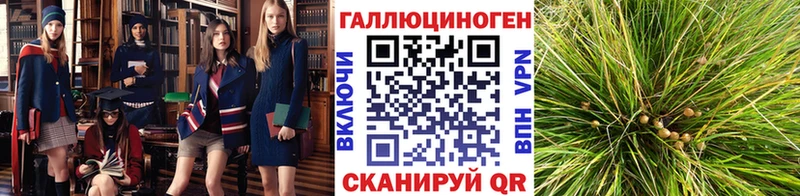 Купить закладки  Лодейное Поле  Галлюциногенные грибы Cubensis 
